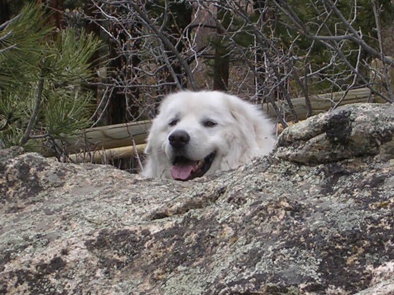 peakaboo.jpg