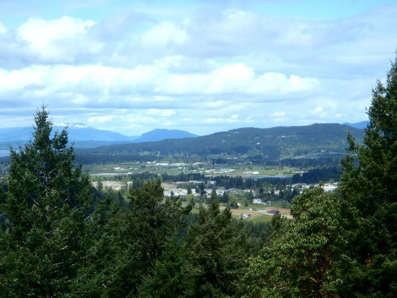 012-001-1.jpg