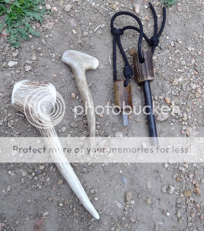 AntlersfromDex_zps8315a015.jpg