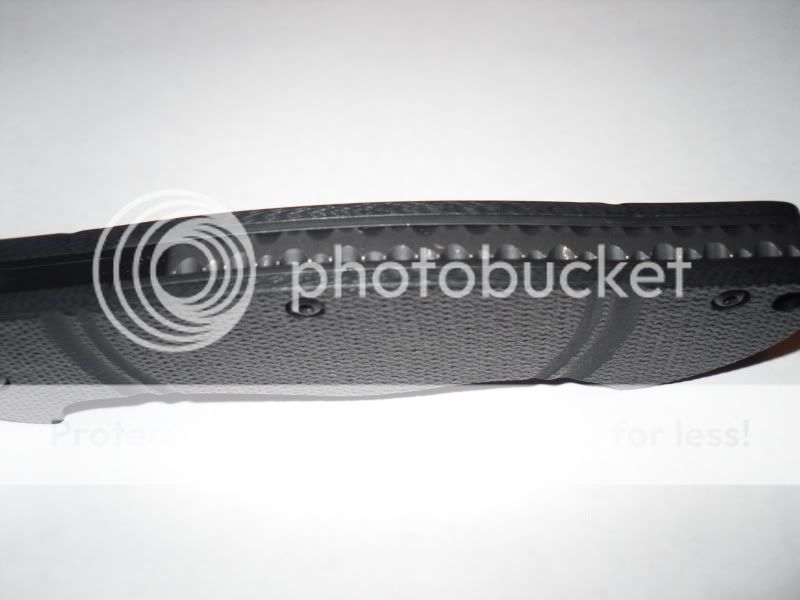 SDC10102.jpg