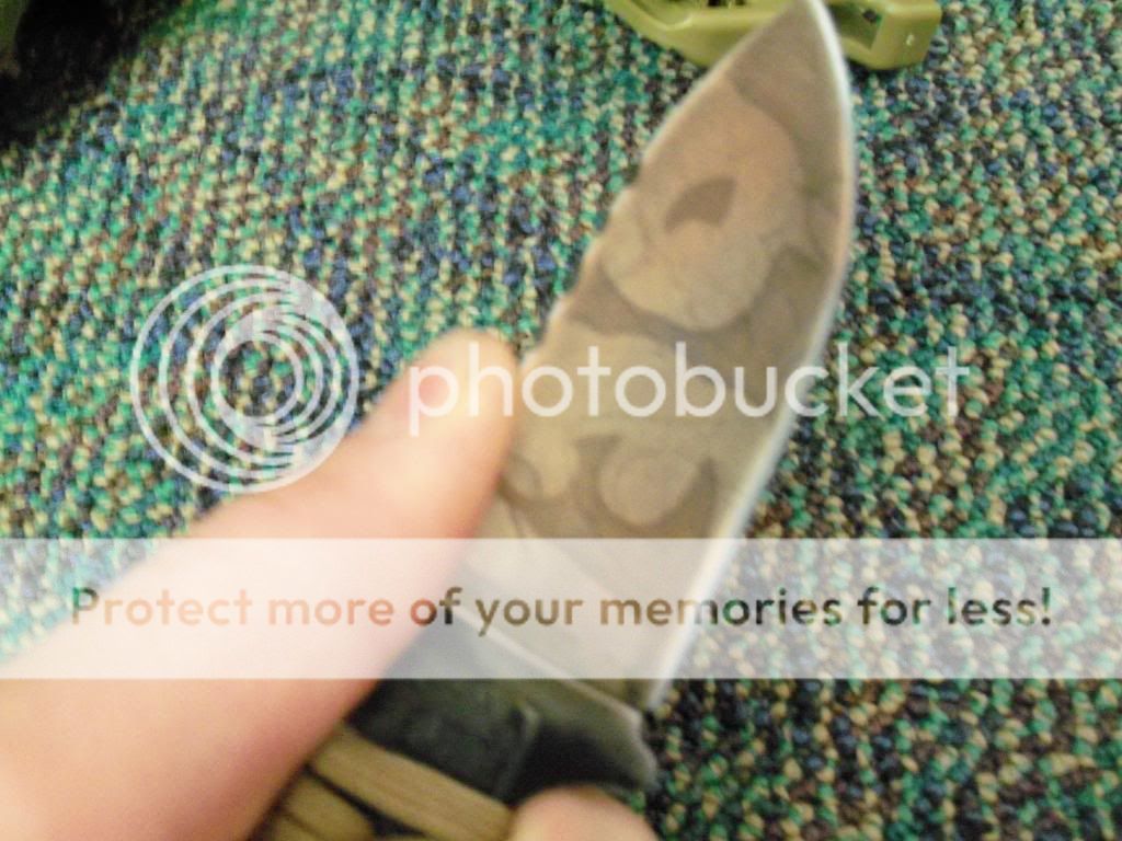 100_4638.jpg