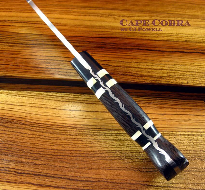 850CJCapeCobraSpine.jpg