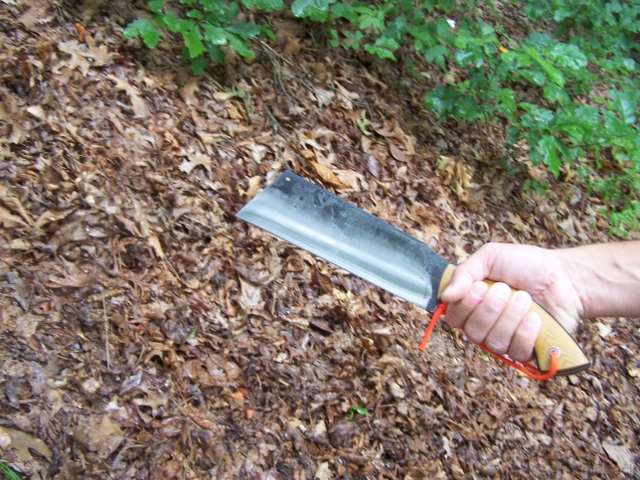 Choppin102_0581-vi.jpg