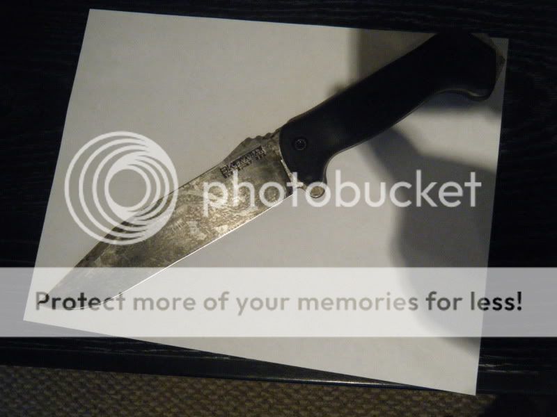 DSCF0725.jpg