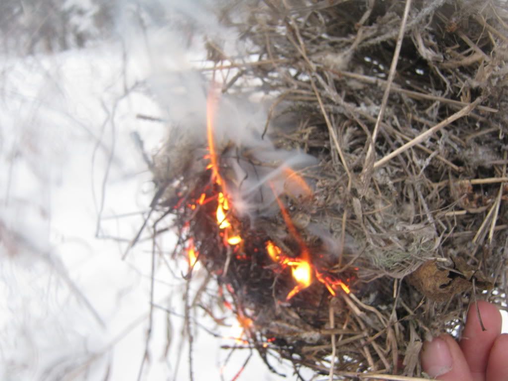 decemberbushcraft036.jpg