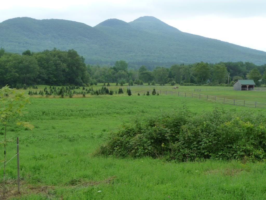 ManchesterVT027.jpg