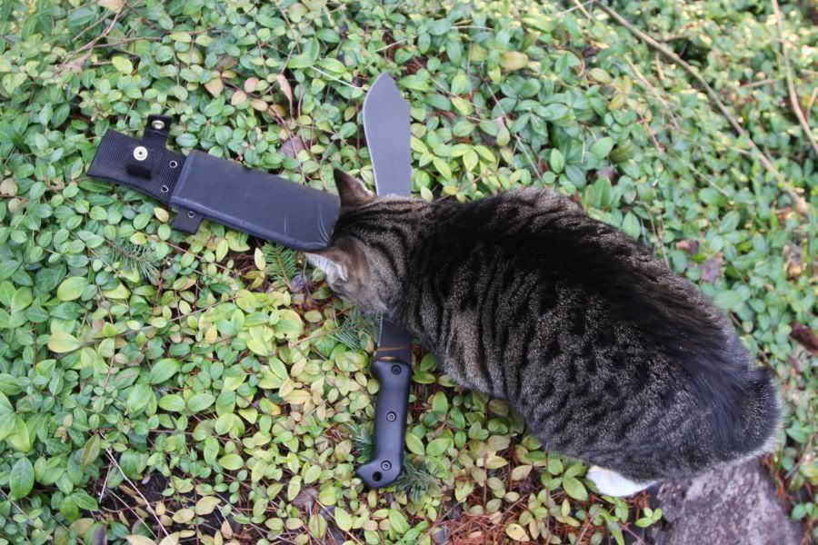 BobbesInsp.jpg