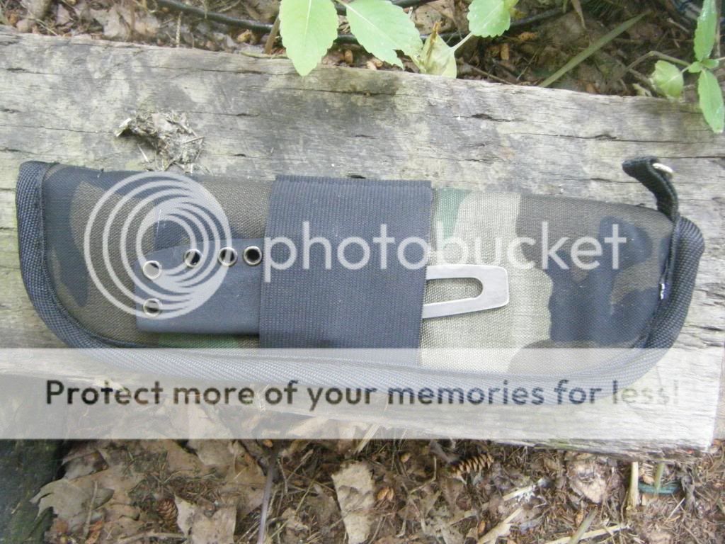DSCF1648.jpg