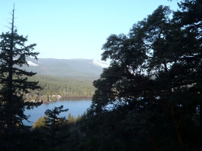P1260008.jpg