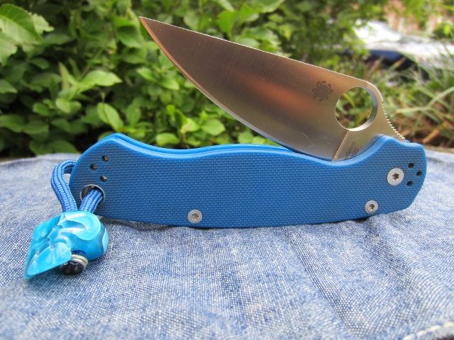 BluePM2Villain.jpg
