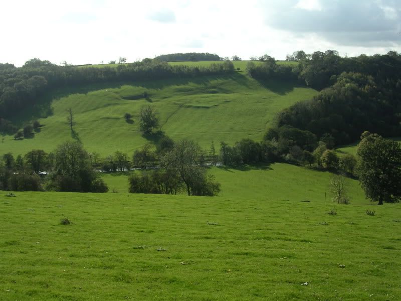 DSCN2911.jpg