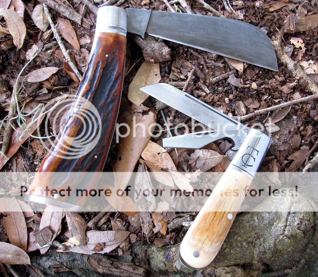 IMG_4725_zpsy1wahibl.jpg~original