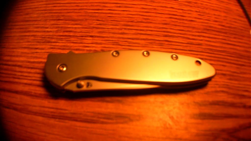 IMAG0049.jpg