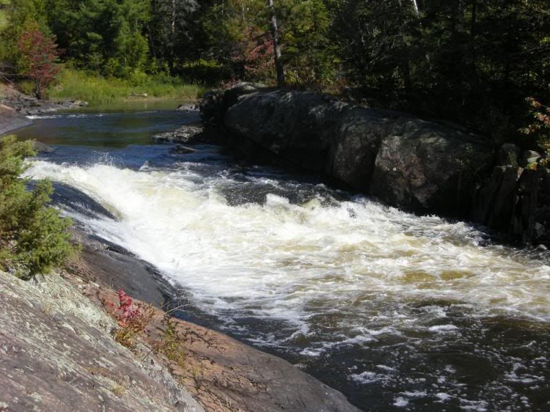 DSCN1535.jpg