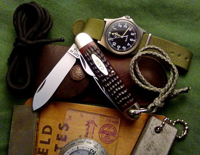 Case%20Scout%202-27-17_zpsqoi1676x.jpg