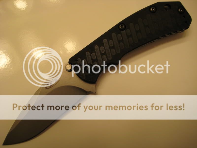 ZT010.jpg