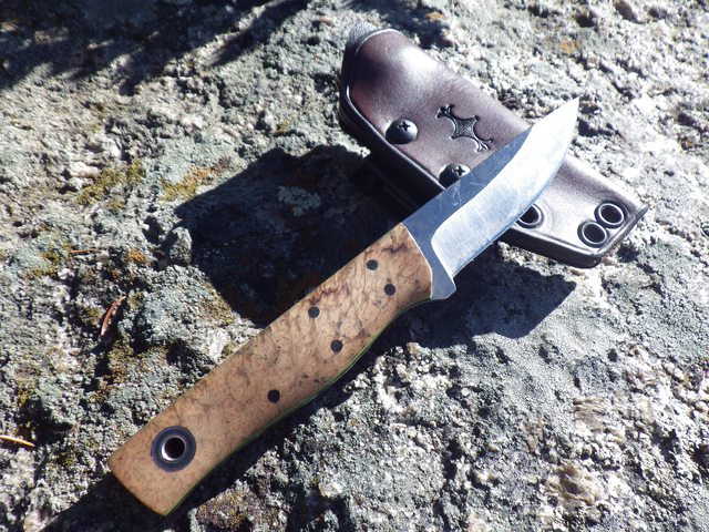 GVT6cZpl.jpg