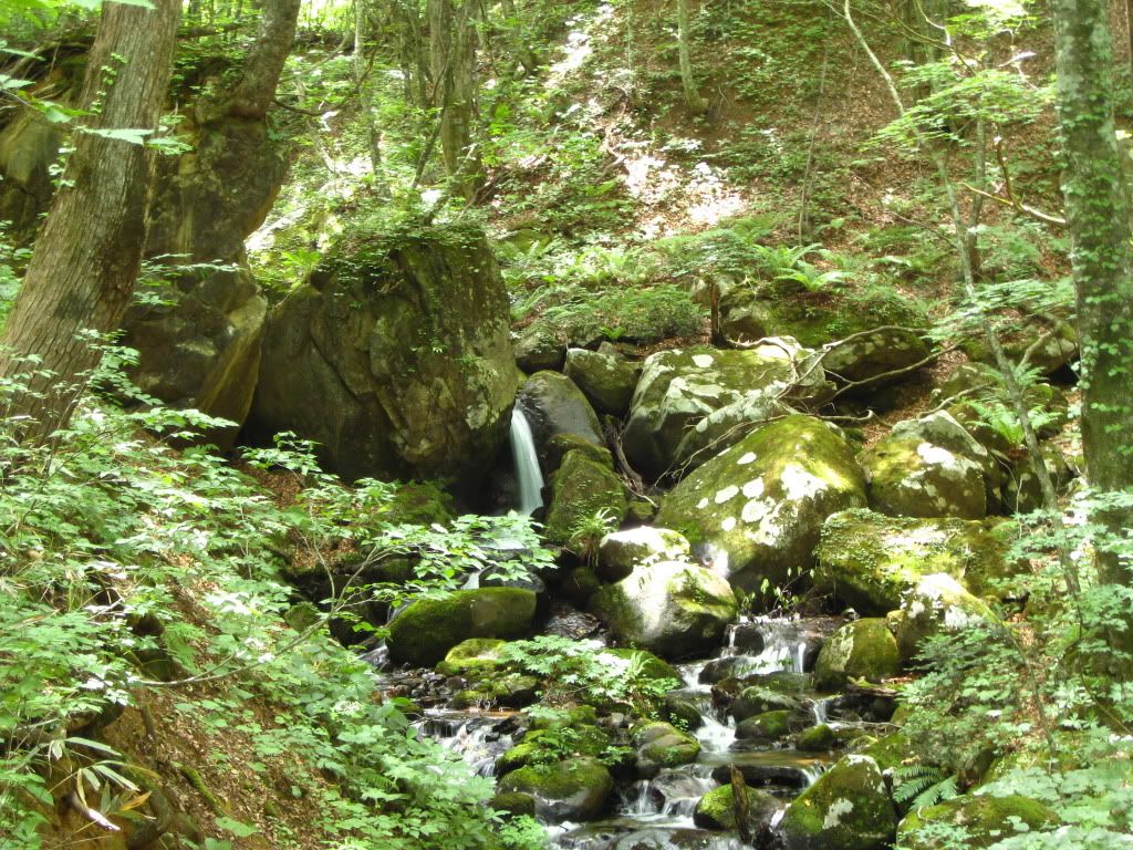 TaiwaTownHikeJuly2010023.jpg
