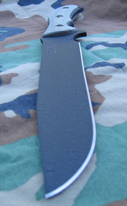 f9fa9877.jpg