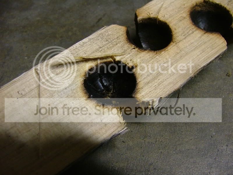 DSCF8273.jpg