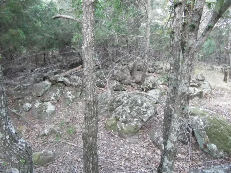 DSCF5090.jpg