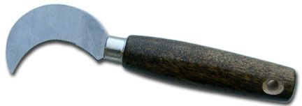 onw5170.jpg