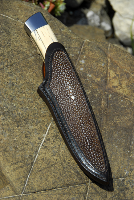sheath_ray2.jpg