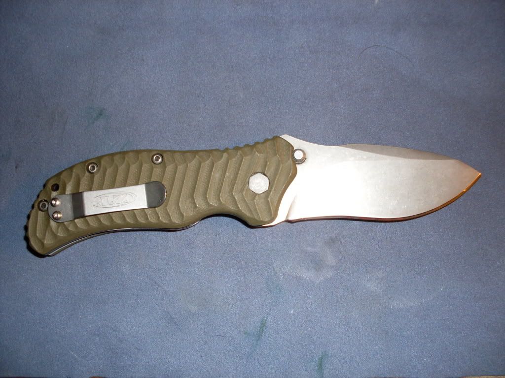 ZT350008.jpg