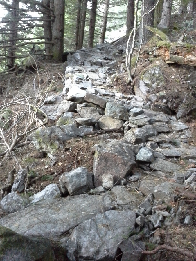 Rock%20Trail.jpg