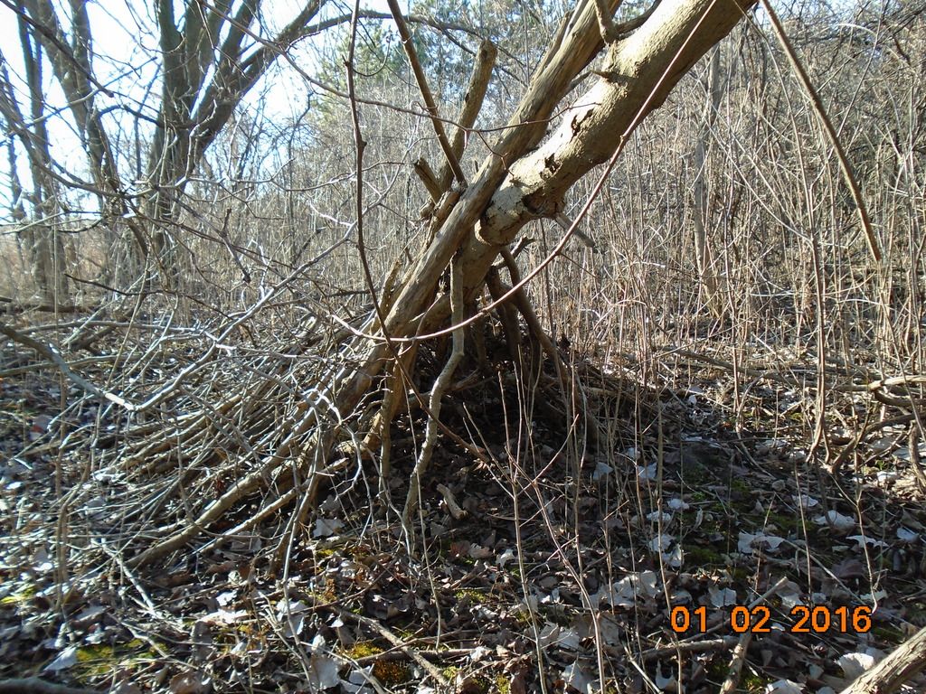 DSC00112_zpsraxcmehr.jpg