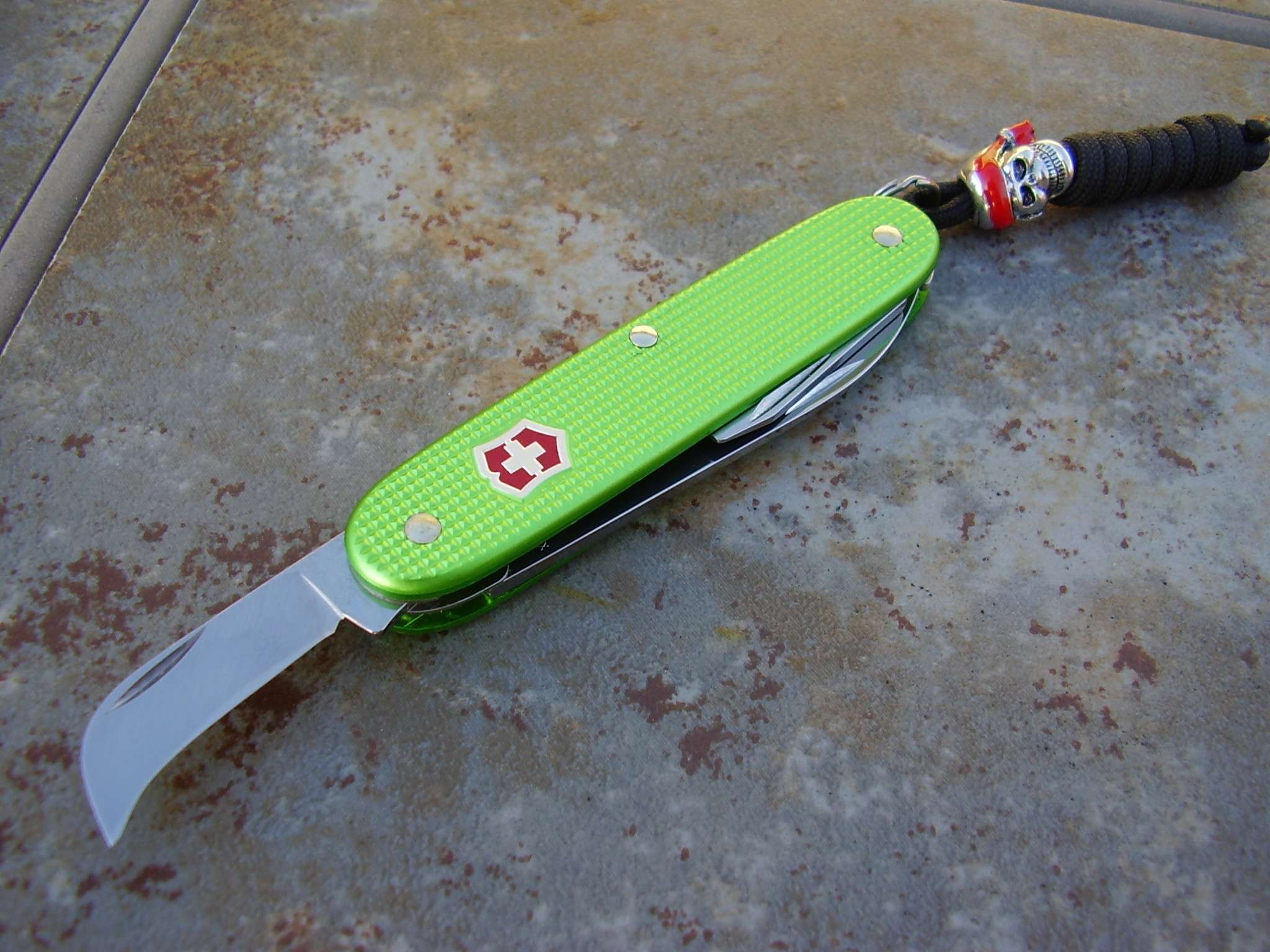 zbm8y.jpg