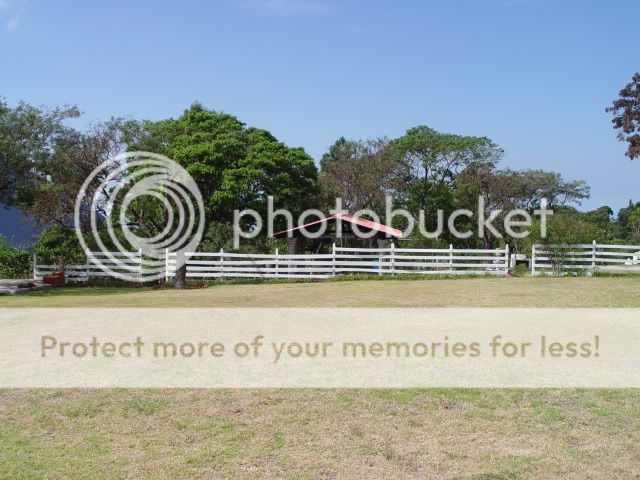 DSC00046.jpg