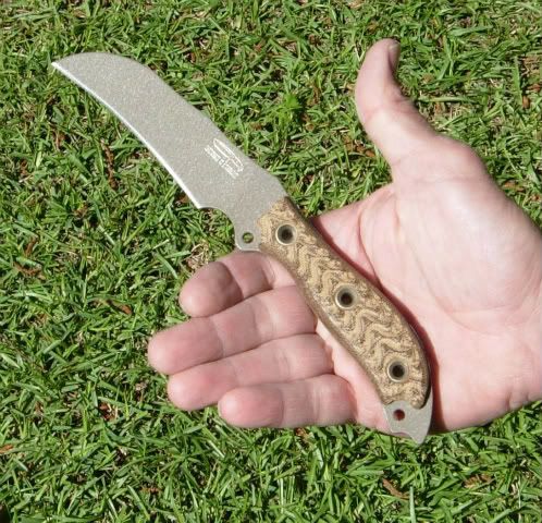 SUSScrofaInHand-2.jpg