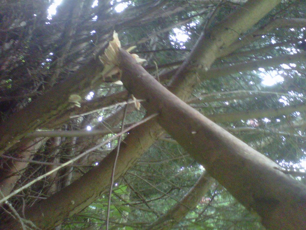 IMG-20120709-00145.jpg
