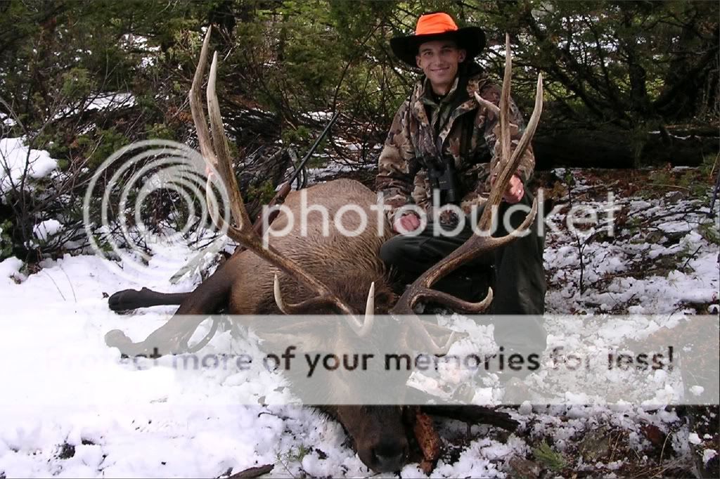 elk1.jpg