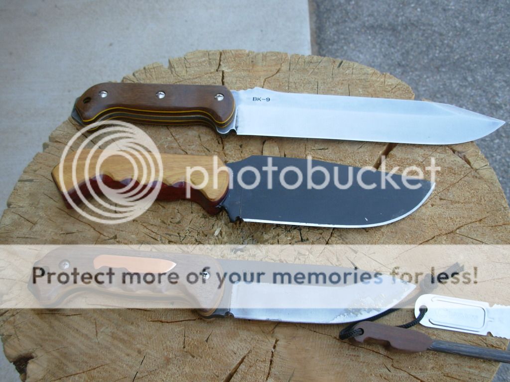 DSCN1871.jpg