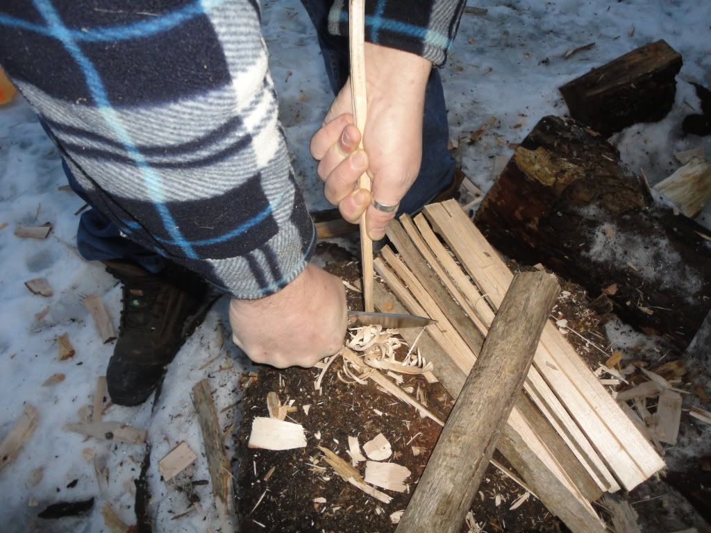 DSC02641.jpg
