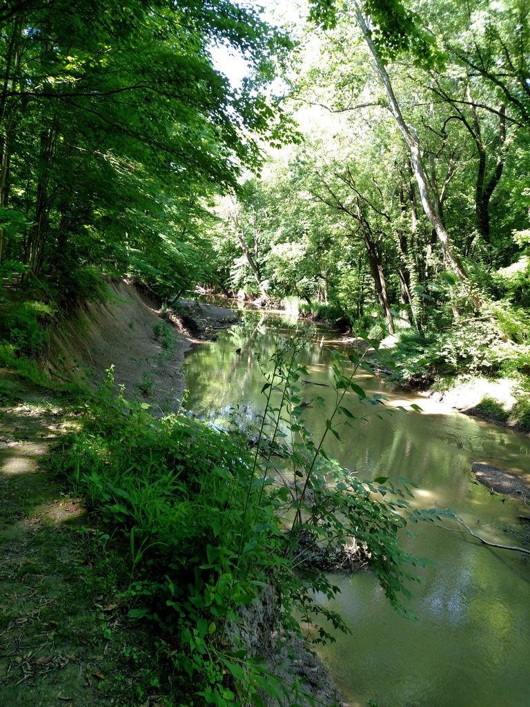 IMG_20160611_105002037_zps7kszldta.jpg