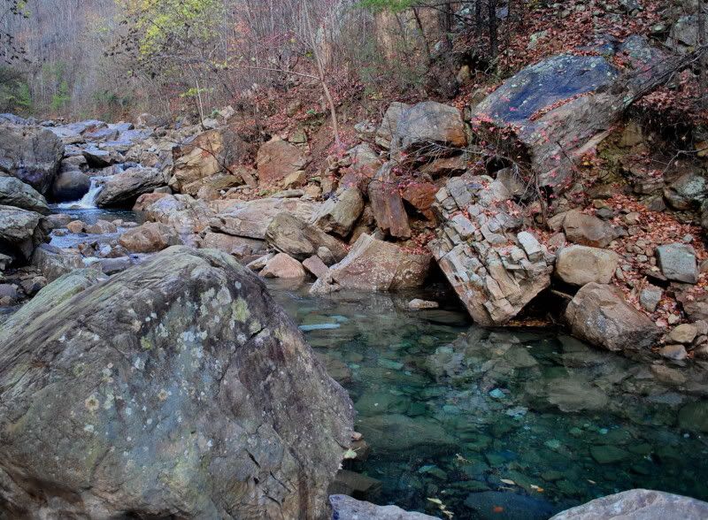 DSC_5605.jpg