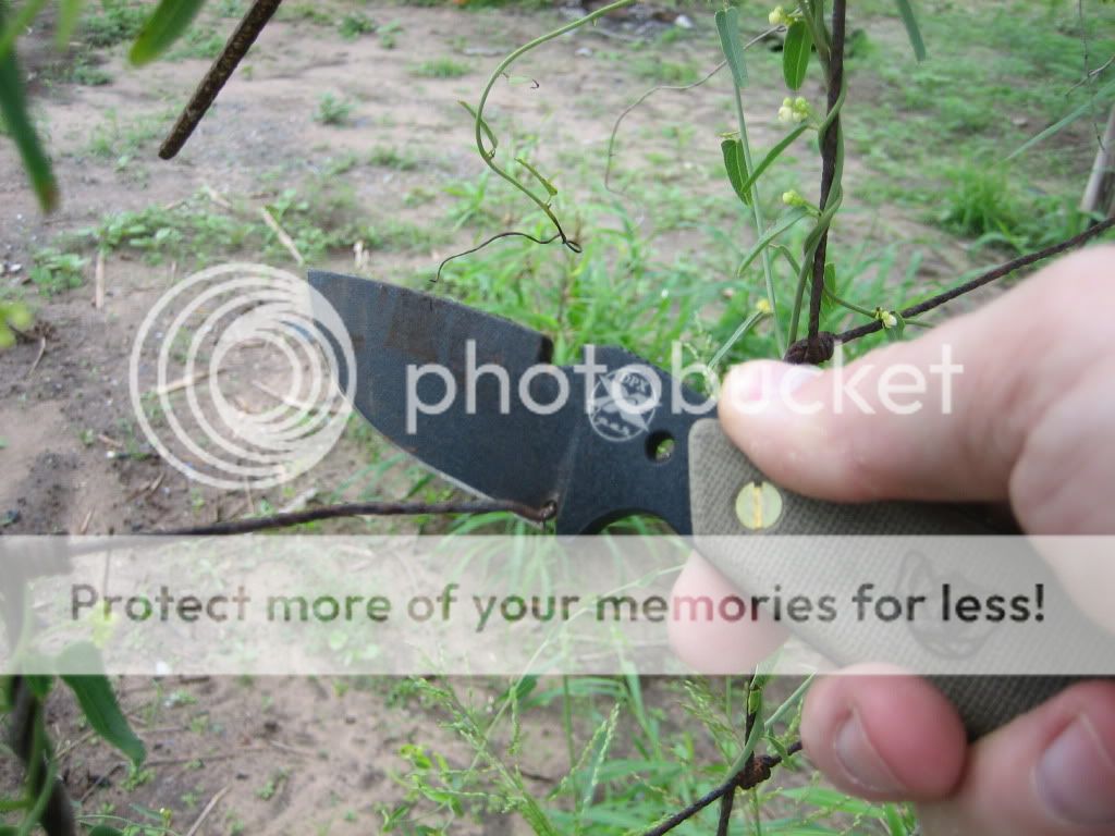 knifereviewandmuddyday004.jpg
