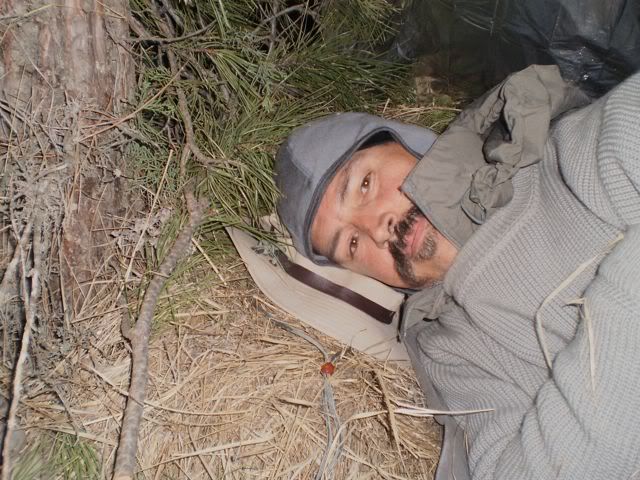 isitmorningyet.jpg