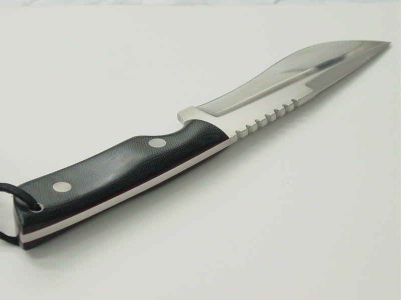 deannesrecurve013.jpg