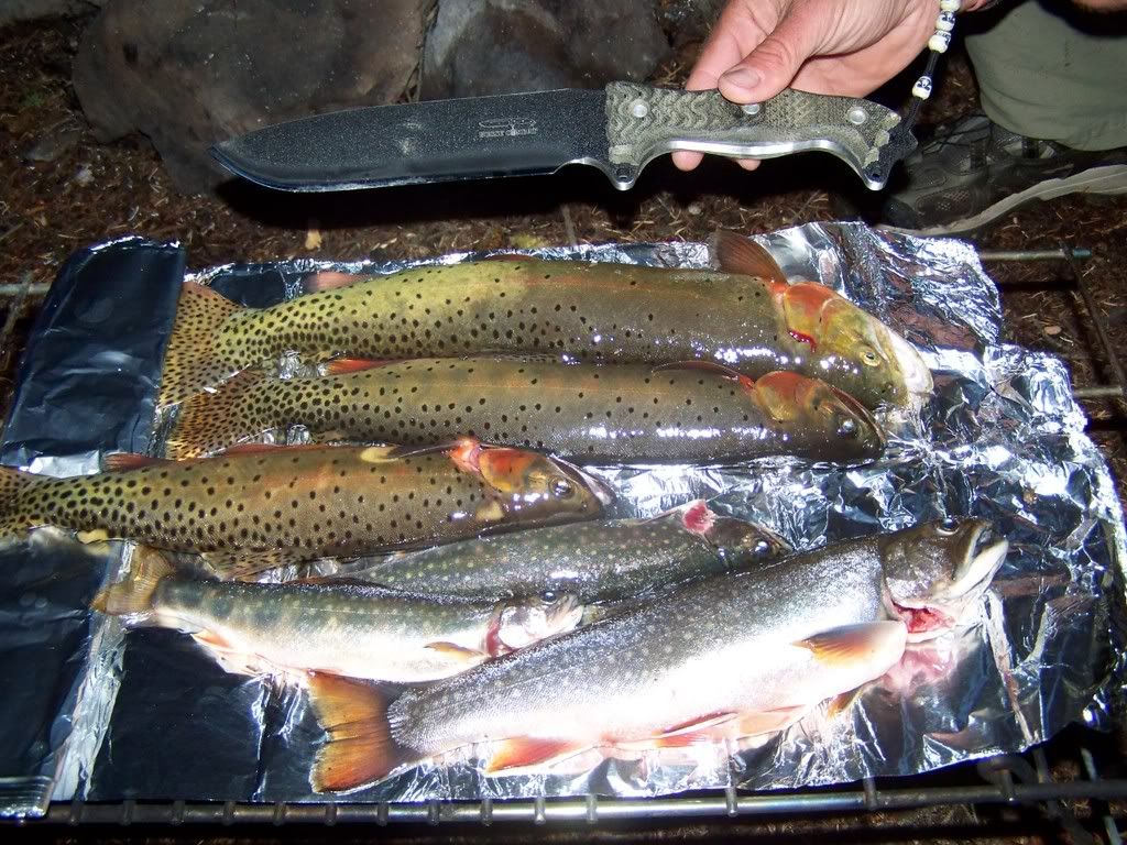 100_0717.jpg