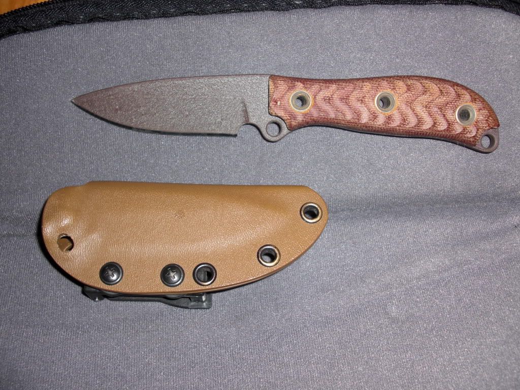 CIMG0341.jpg