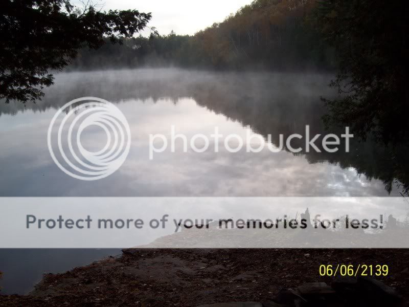 morningmistonlake-1.jpg