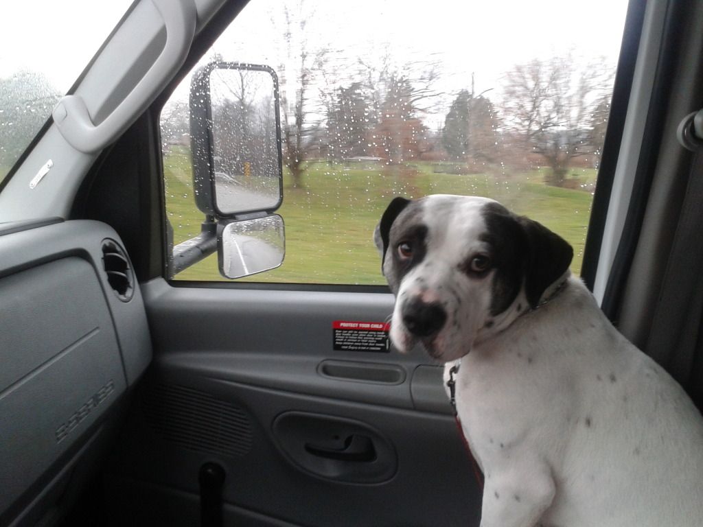 2012-12-08111355.jpg