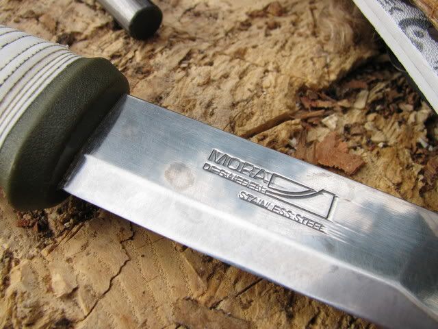 newcamera037.jpg