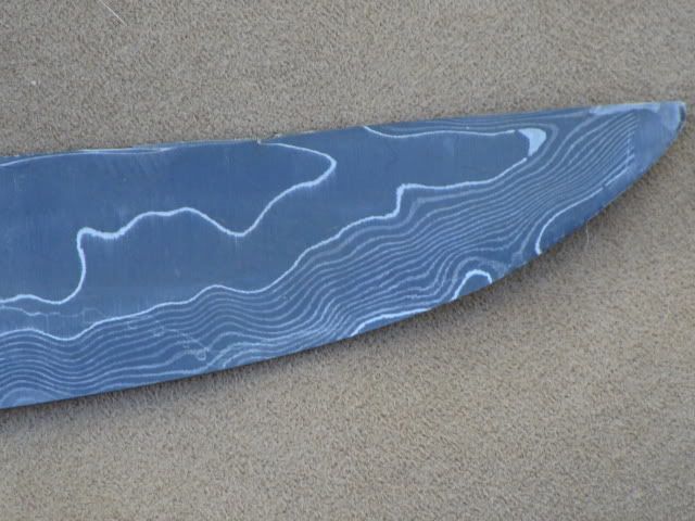 DSC01910.jpg