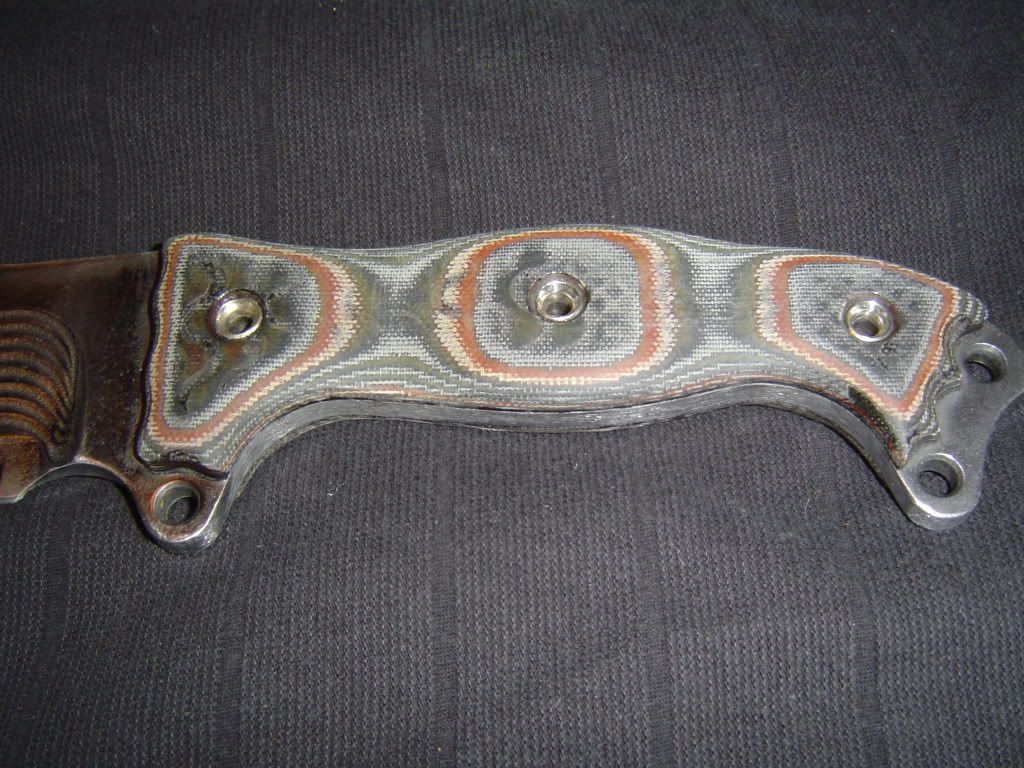 DSC04254.jpg