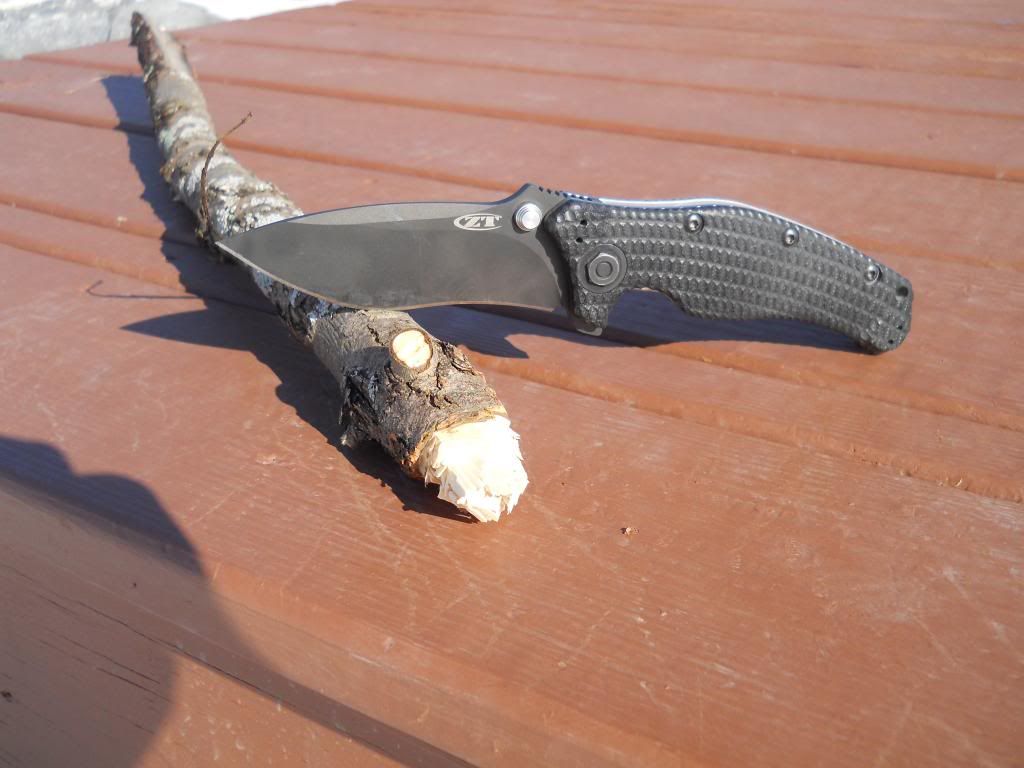 ZT001_zps6716fc27.jpg